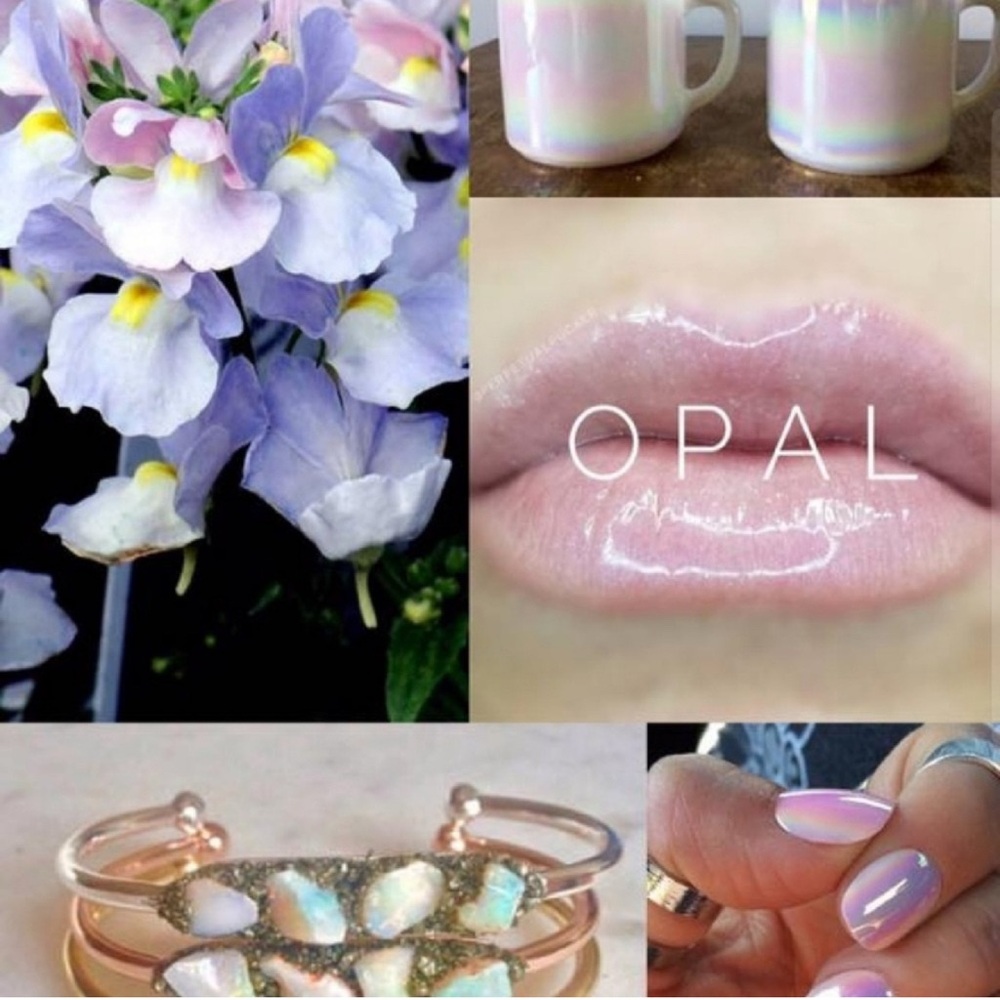 Lipsense by Senegence. Shade: Opal gloss. NWT. 🍁🍁